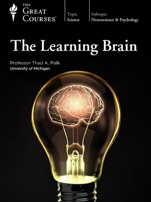 cover image of The Learning Brain